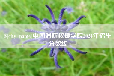 象山中国消防救援学院2024年招生分数线