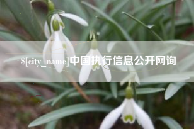 象山中国执行信息公开网询