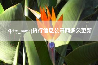 象山执行信息公开网多久更新