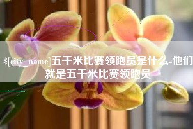 象山五千米比赛领跑员是什么-他们就是五千米比赛领跑员