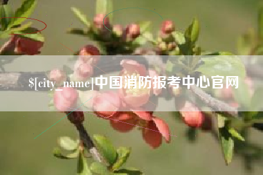 象山中国消防报考中心官网