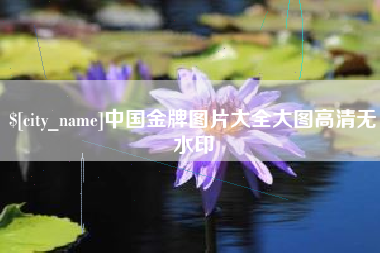 象山中国金牌图片大全大图高清无水印
