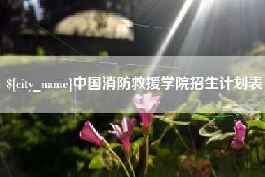 象山中国消防救援学院招生计划表