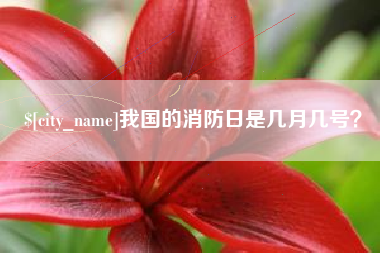 象山我国的消防日是几月几号？