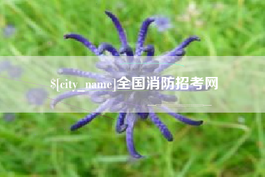 象山全国消防招考网