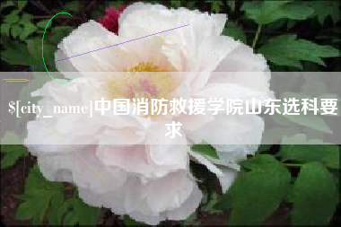 象山中国消防救援学院山东选科要求