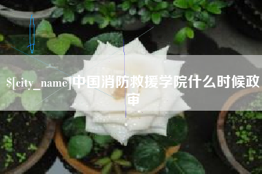 象山中国消防救援学院什么时候政审