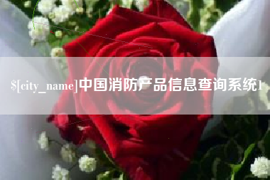 象山中国消防产品信息查询系统1