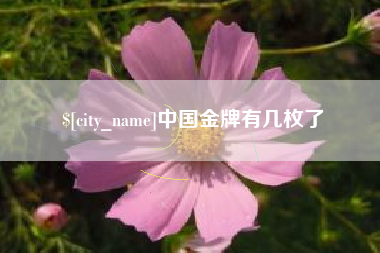 象山中国金牌有几枚了