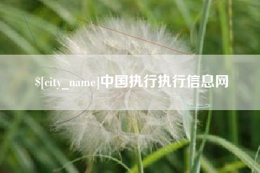 象山中国执行执行信息网