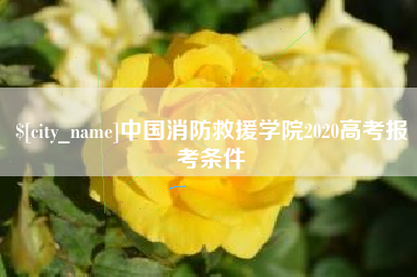 象山中国消防救援学院2020高考报考条件