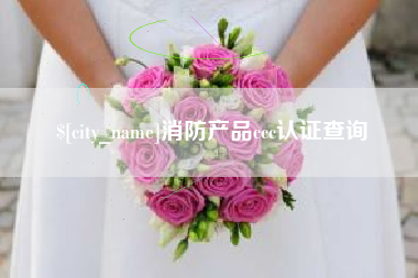 象山消防产品ccc认证查询