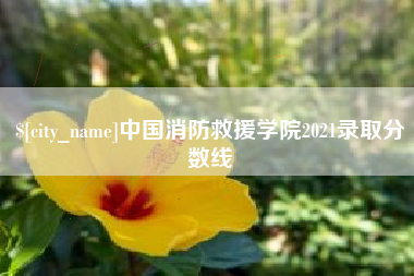 象山中国消防救援学院2021录取分数线
