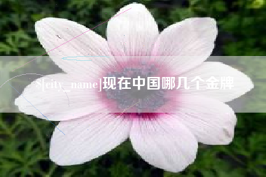 象山现在中国哪几个金牌
