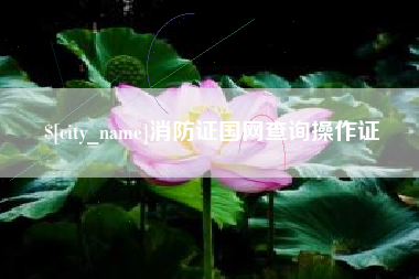 象山消防证国网查询操作证