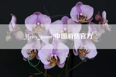 象山中国消防官方