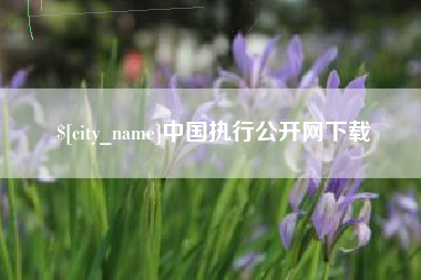 象山中国执行公开网下载