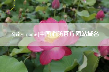 象山中国消防官方网站域名