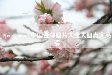 象山中国金牌图片大全大图真实高清