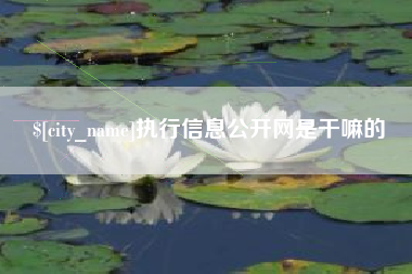 象山执行信息公开网是干嘛的