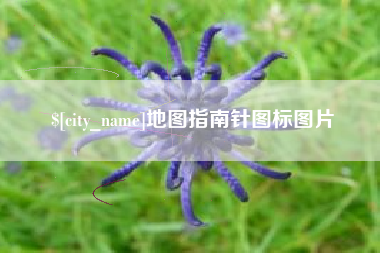 象山地图指南针图标图片