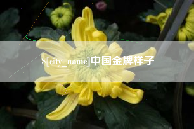 象山中国金牌样子