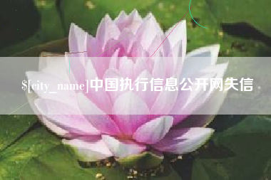 象山中国执行信息公开网失信