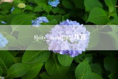 象山2022九宫