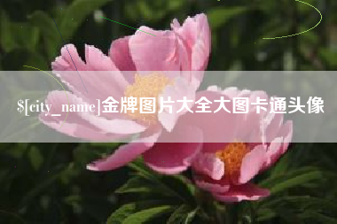 象山金牌图片大全大图卡通头像