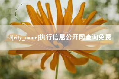 象山执行信息公开网查询免费