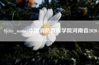 象山中国消防救援学院河南省2020